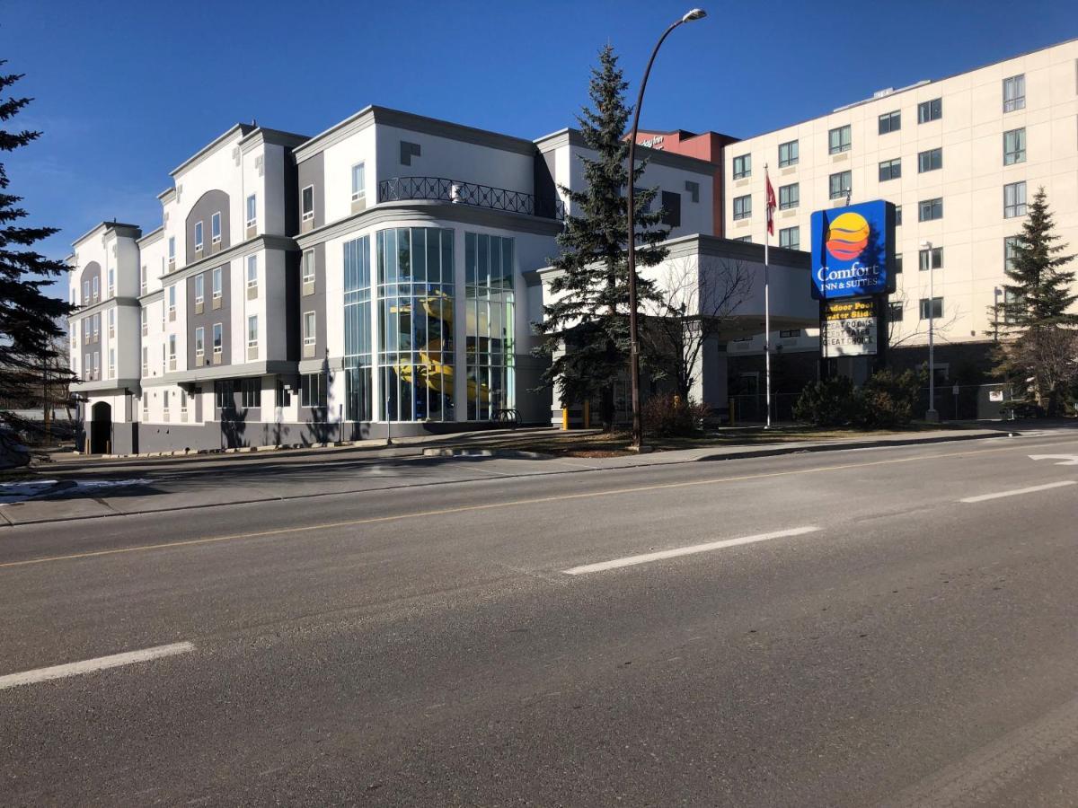 Comfort & Hotel