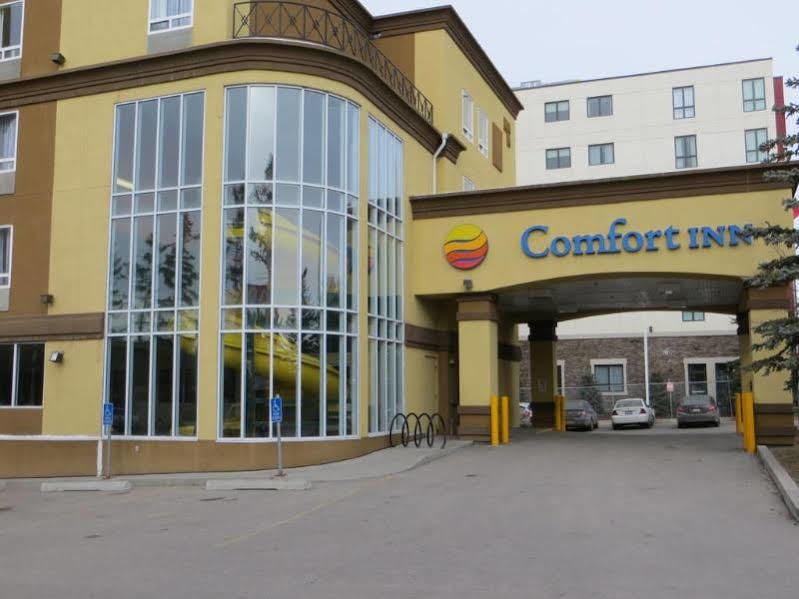 Comfort &