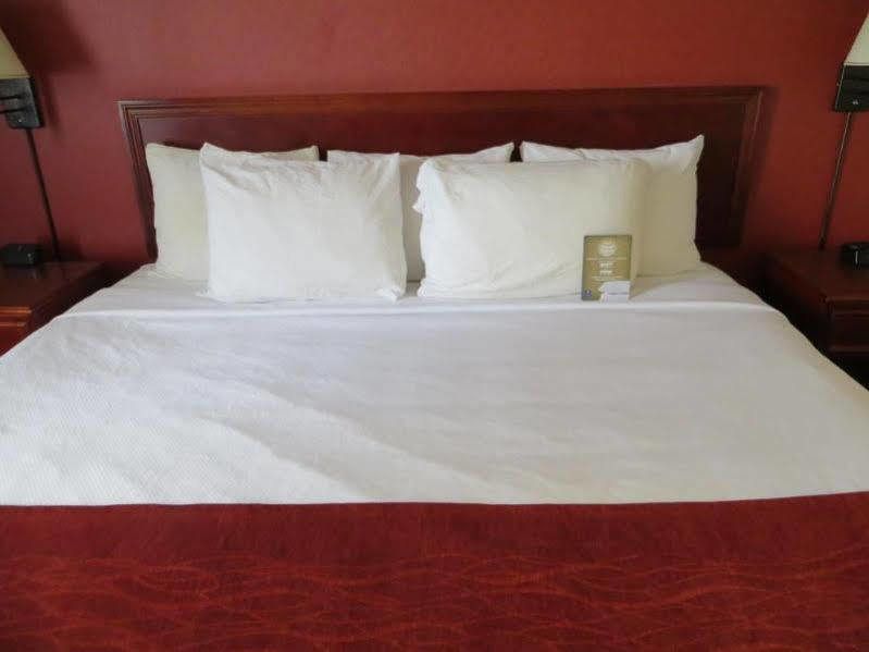 Comfort & Calgary